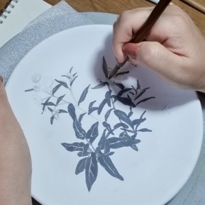 체험단 이미지