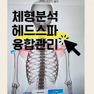 [서울 서대문] 이너뷰티연구소