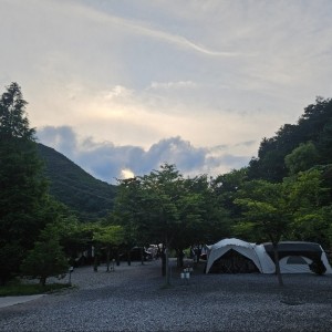 [경북 문경] 별하숲캠핑장