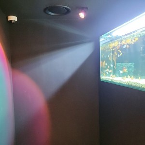[서울 광진][클립] 무빙모멘트 건대점