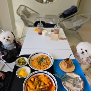 [경기 용인] 카페댕스