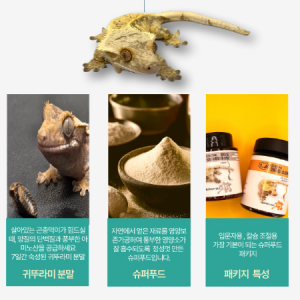 렙타일 한방애 이미지