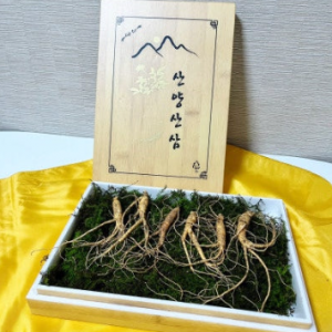 The 건강하삼 이미지