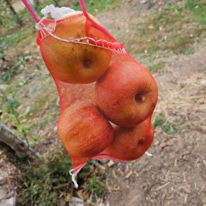 [대구 동구] 팔공산 사과체험농장