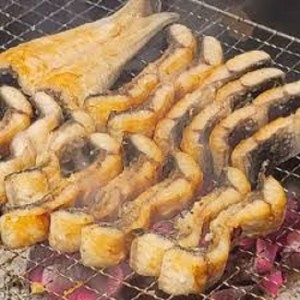 [서울 영등포] 숯불장어어때(당산동)