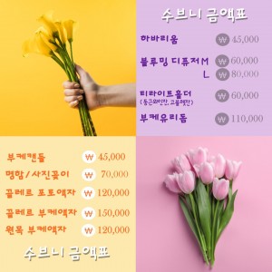 [제주 제주] 수브니