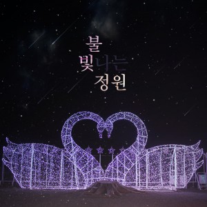 [제주 제주] 제주불빛정원