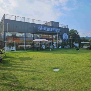 [경기 양평] 시로네운동장