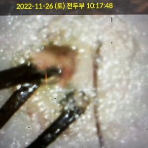 [강원 속초] 태후사랑 속초1호점