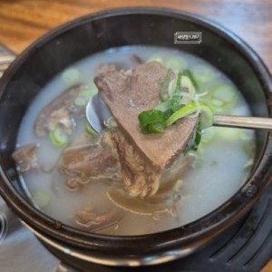 [강원 고성] 풍미옥