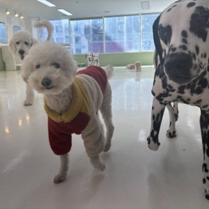 [기자단] 새마을 유치원