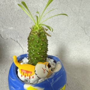 이러비
