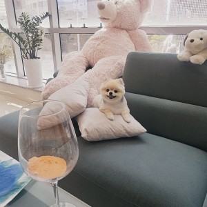 [기자단] 쁘띠멍