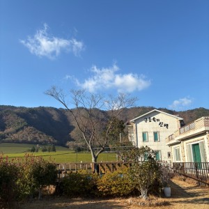 [전남 보성] 구름속의산책펜션