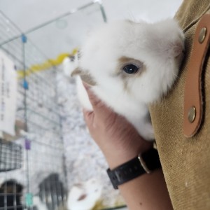 [경북 김천] 다솜생태관