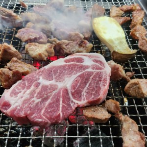 [전북 익산] 삼례산청가든