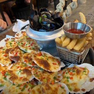 [경기 수원] 애월