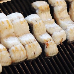 송전장어직판장