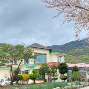 학조리샘말펜션