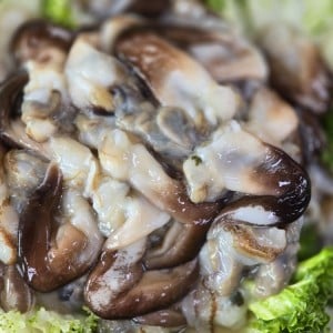 푸른바다 싱싱바다이야기