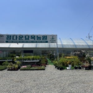 정다운묘목농원