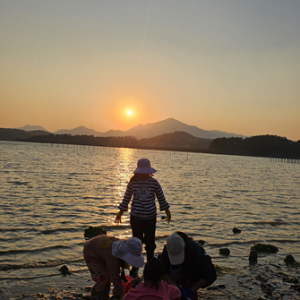 솔섬오토캠핑장