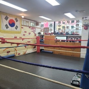 김태식복싱클럽