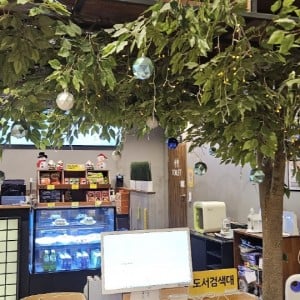 놀숲 압구정역점