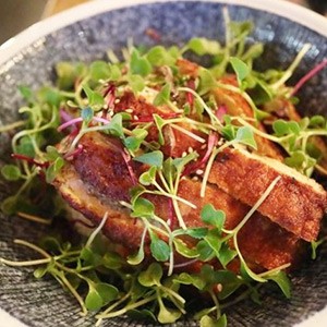 태평양 로바타야키