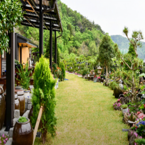 [기자단] 리틀포레스트 1호점