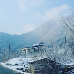 [기자단] 들꽃정원펜션