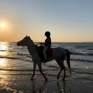 고창해변승마클럽휘게팜