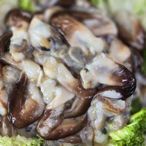 푸른바다 싱싱바다이야기