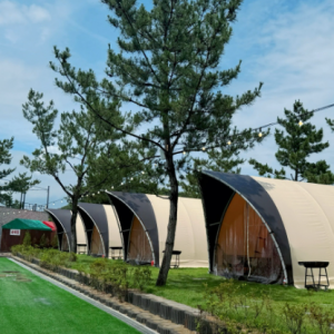 판타스틱 캠프닉