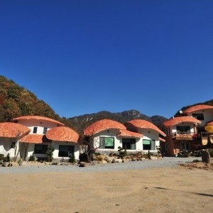 속리산 독채펜션 천왕봉가는길에