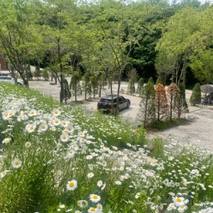 울미숲 오토캠핑장