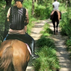 고창해변승마클럽휘게팜