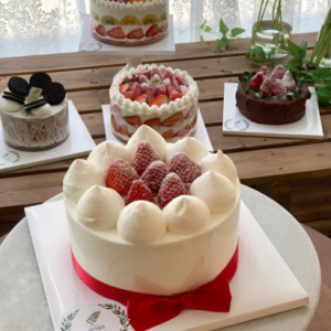 제이델링 예산점