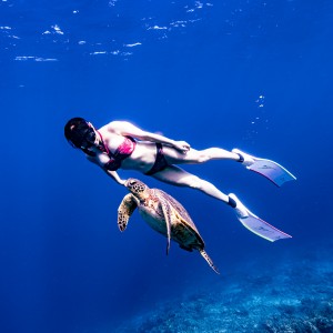 케이프리다이빙