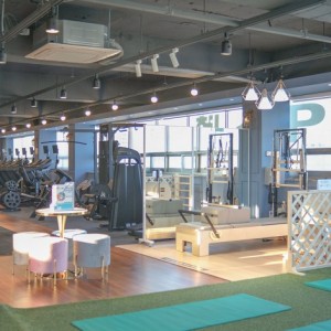 알브이디gym