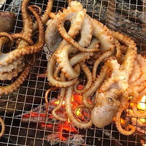 이은낙지 첨단본점