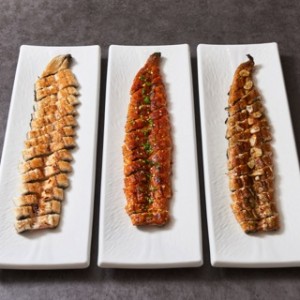 으라차차 민물장어