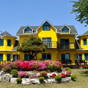 진아리랑호스텔