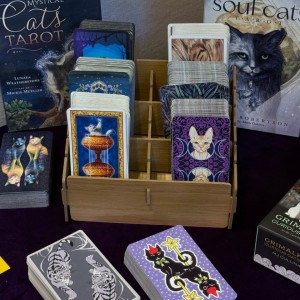 [부산 부산진] 냥이의타로이야기