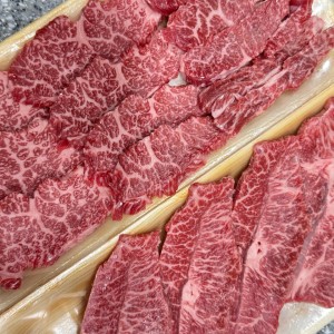 설레인우고색점