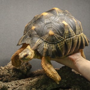 [서울 송파] 슬로우서울