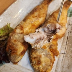 [제주 제주] 나니와