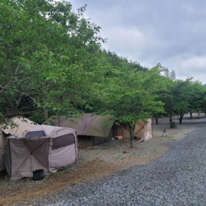 [전남 나주] 자연애스토리