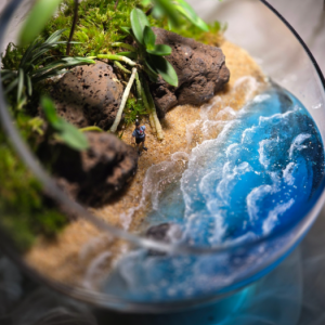 [서울 송파] 마녀의숲