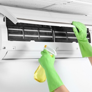 [기자단] 올데이 케어